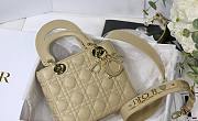 DIOR My ABCDIOR Lady Beige Lambskin Bag - 1