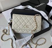 Chanel WOC New Hardware Size 19 cm - 1