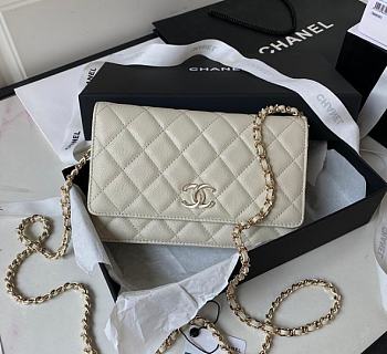 Chanel WOC New Hardware Size 19 cm