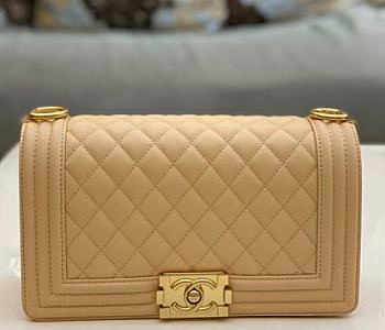 Chanel Boy Bag in Beige Gold Hardware Size 25 cm