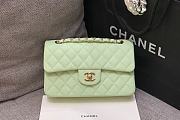 Chanel Flap Bag Caviar Green Gold Hardware Size 23 cm - 1