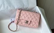 Chanel Flap Bag Caviar Silver Hardware Pink Size 20 cm - 1