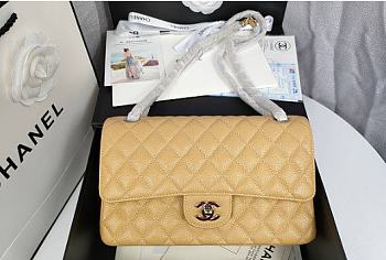 Chanel Caviar Flap Bag in Beige Silver Hardware Size 25 cm