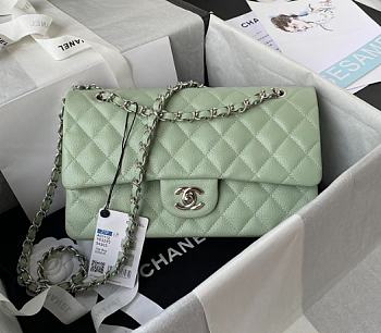 Chanel Flap Bag A01112 Caviar Light Green Size 15.5 x 25.5 x 6.5 cm