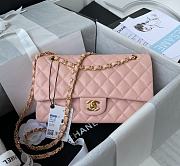 Chanel Classic Flap Bag A01112 Caviar Pink Size 15.5 x 25.5 x 6.5 cm - 1