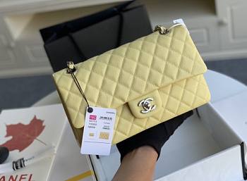 Chanel Flap Bag-25CM BAG-2015277