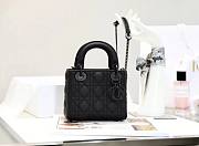 Lady Dior Bag-17CM  REWRE-09854 - 1