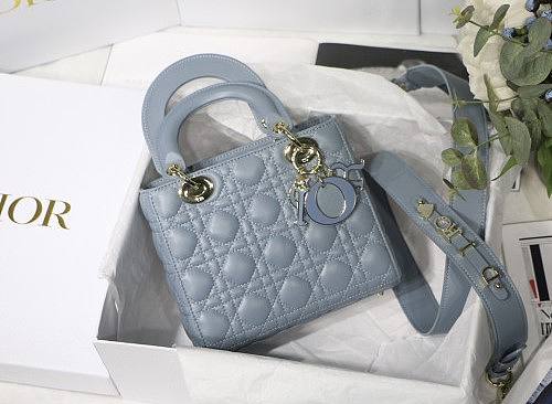 Lady Dior Handle Bag-24CM ERWE-04764334 - 1