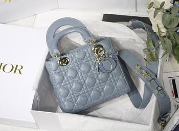 Lady Dior Handle Bag-24CM ERWE-04764334