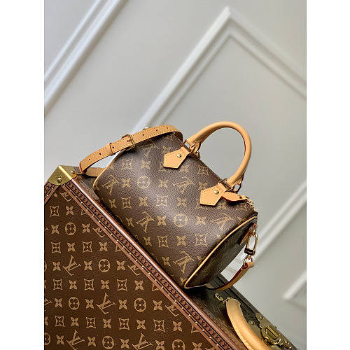 Louis Vuitton Speedy Bandoulière 20 -M81086-20*13.5*12CM - 1