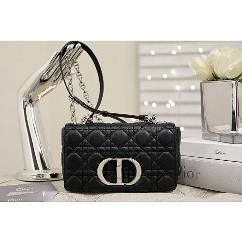 Dior 2021 Caro Bag-20*3*11CM DIOBAG-13765433 - 1