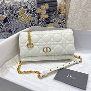 Dior 2021 Caro Bag-20*3*11CM DIOBAG-132465 - 1