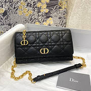 Dior 2021 Caro Bag-20*3*11CM DIOBAG-132432 - 1