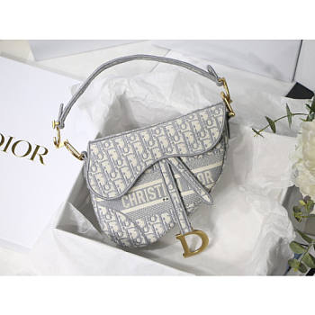 Dior Saddle Bag-25.5 X 20 X 6.5CM DIOR-S87654