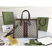 Gucci Ophidia Handbags-33*24.5*17.5CM - 1