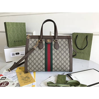 Gucci Ophidia Handbags-33*24.5*17.5CM