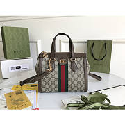 Gucci Ophidia Bag-25*19*9.5CM - 1