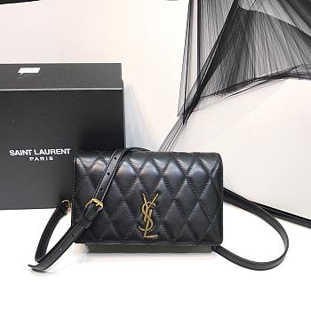 YSL Anige 65  (22cm)