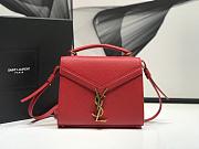 YSL CASSANDRA 149   (24cm) - 1