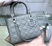 Lady Dior 6 73123204 （24） - 1