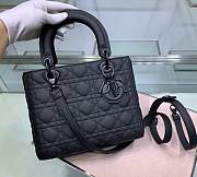 Lady Dior 7 73123204 （24） - 1