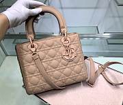 Lady Dior 8 73123204 （24） - 1